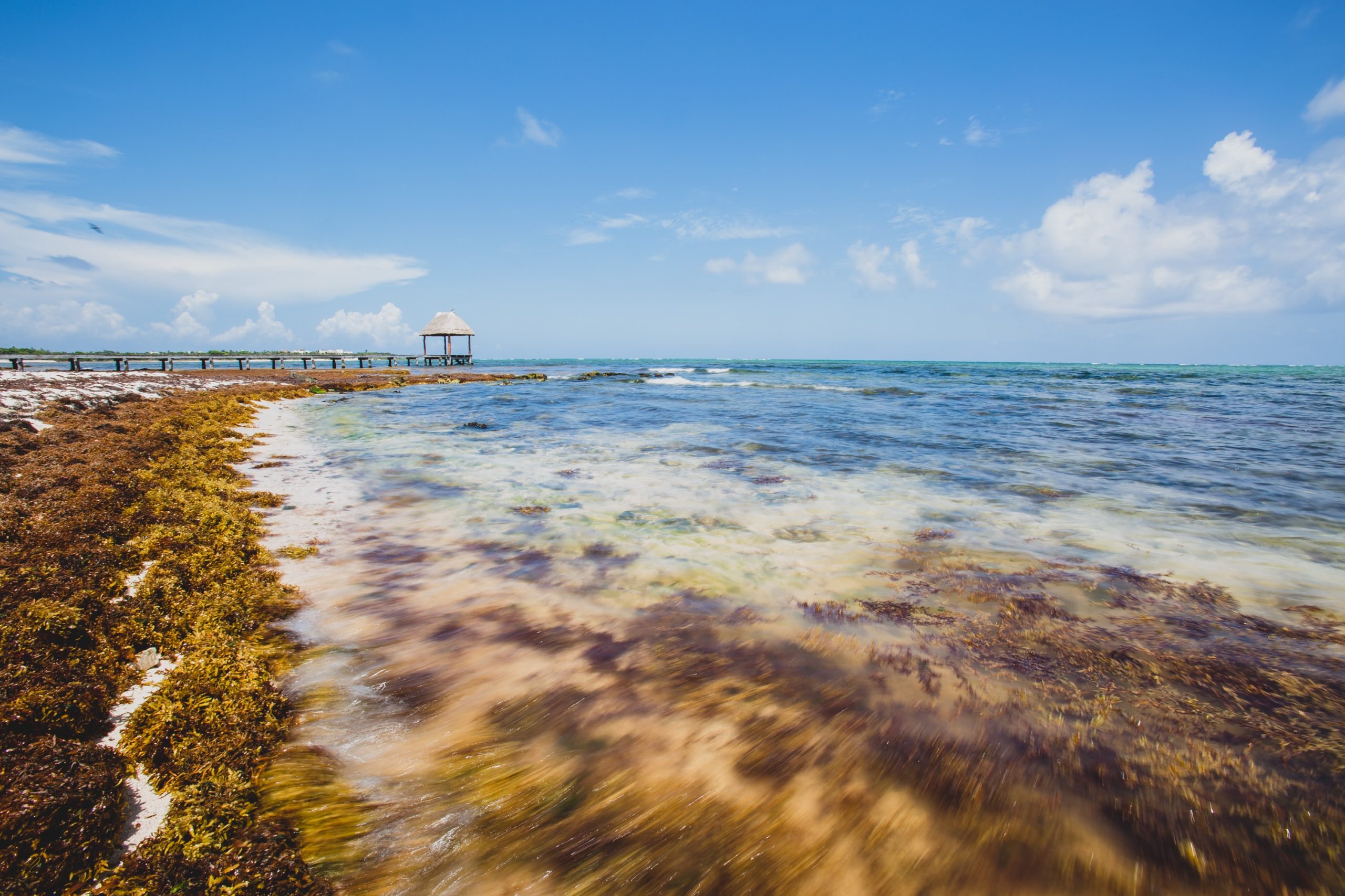 Плитка крайбрежна вода с водорасли по дъното; в далечината дървен пирс с беседка