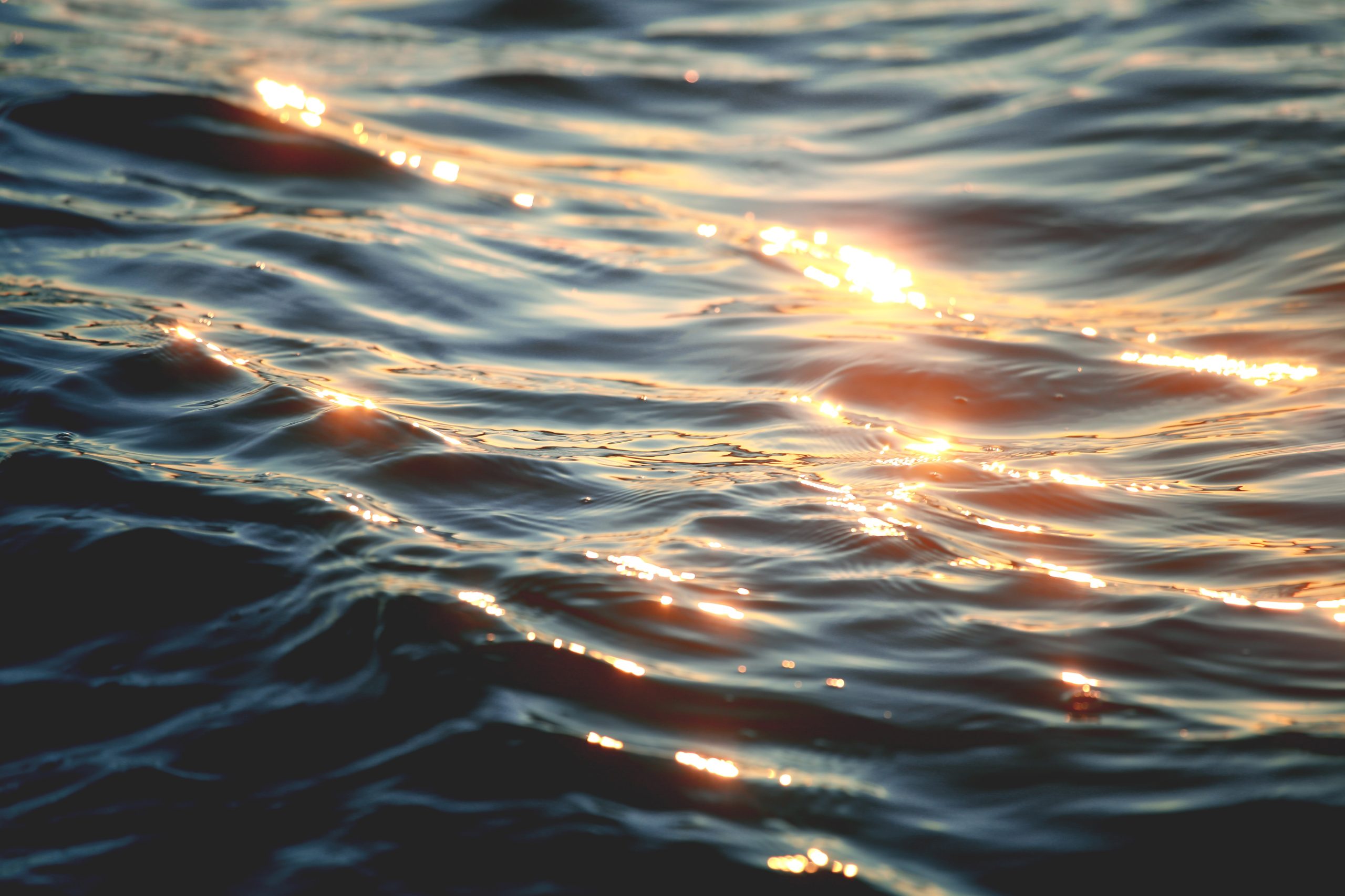 The surface of the sea at sunset with golden glints on the waves