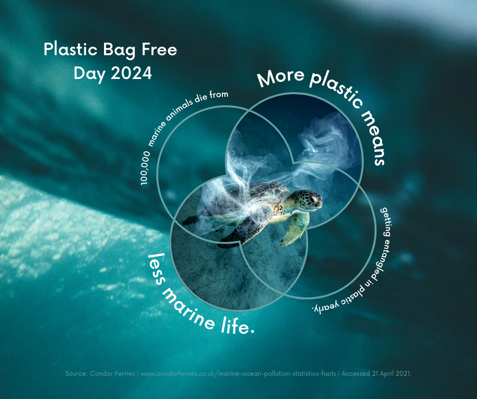 Графика „Plastic Bag Free Day 2024“ с морска костенурка под вода